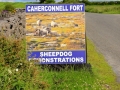 Irland 37 Caherconnel - 0834