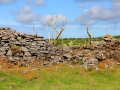 Irland 37 Caherconnel - 0840