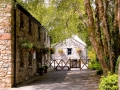 Irland 38 Glenglowa - 0847