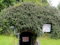 Irland 38 Glenglowa - 0851