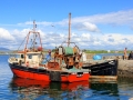 Irland 39 Roundstone - 0868