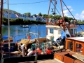 Irland 39 Roundstone - 0869