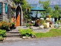 Irland 39 Roundstone - 0875