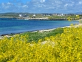 Irland 40 Fahrt-BaB - 0877