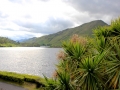 Irland 42 Kylemore - 0914