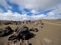 Island-2016-Web-0925