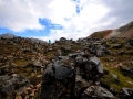 Island-2016-Web-0956