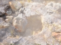 Island-2016-Web-0962
