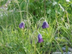 23-khoevsgoel-2722