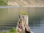 23-khoevsgoel-2727