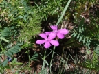 23-khoevsgoel-2756