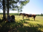 23-khoevsgoel-2773