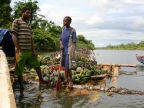 papua-2012-bilder-norbert-0286
