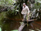 papua-2012-tag15-mapulsiret-1444