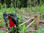 papua-2012-tag15-mapulsiret-1448
