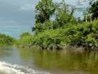 papua-2012-tag15-mapulsiret-1489