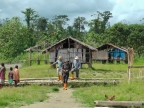 papua-2012-tag16-brazzadekai-1501