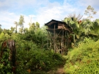 papua-2012-bilder-norbert-0240
