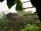 papua-2012-bilder-norbert-0253