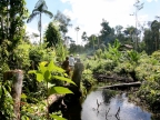 papua-2012-bilder-norbert-0265