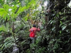 papua-2012-tag12-kuruwai-sago-1254