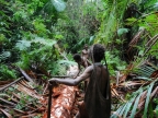 papua-2012-tag12-kuruwai-sago-1264