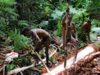 papua-2012-tag12-kuruwai-sago-1266