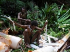 papua-2012-tag12-kuruwai-sago-1285