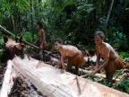 papua-2012-tag12-kuruwai-sago-1287