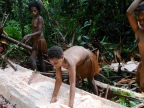 papua-2012-tag12-kuruwai-sago-1288