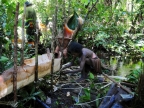 papua-2012-tag12-kuruwai-sago-1301