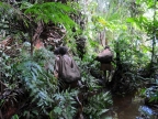 papua-2012-tag12-kuruwai-sago-1330