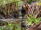 papua-2012-tag13-kuruwai-1374