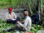 papua-2012-tag14-kuruwai-1397