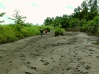 papua-2012-tag14-kuruwai-1400