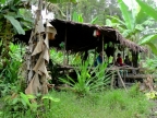 papua-2012-tag14-kuruwai-1408