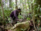 papua-2012-tag14-kuruwai-1429