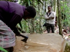 papua-2012-tag14-kuruwai-1435