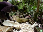 papua-2012-tag14-kuruwai-1439