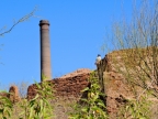 mexiko-2012-tag-07-el-trifuno-0903