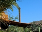 mexiko-2012-tag-07-el-trifuno-0929