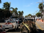 mexiko-2012-tag-07-la-paz-0842-1