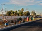 mexiko-2012-tag-07-la-paz-0848