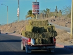 mexiko-2012-tag-07-la-paz-0849