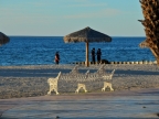 mexiko-2012-tag-07-la-paz-0865
