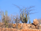 mexiko-2012-tag-07-san-antonio-0943