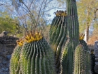 mexiko-2012-tag-07-san-antonio-0956