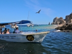 mexiko-2012-tag-08-cabo-san-lucas-1073