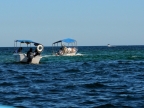 mexiko-2012-tag-08-cabo-san-lucas-1078