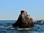 mexiko-2012-tag-08-cabo-san-lucas-1084